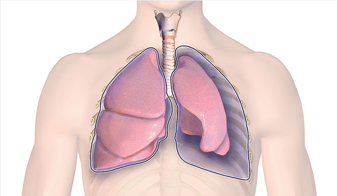 Western Toronto Thoracic Associates